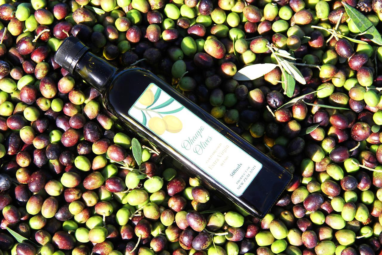 Ohaupo Olives Panzió Kültér fotó