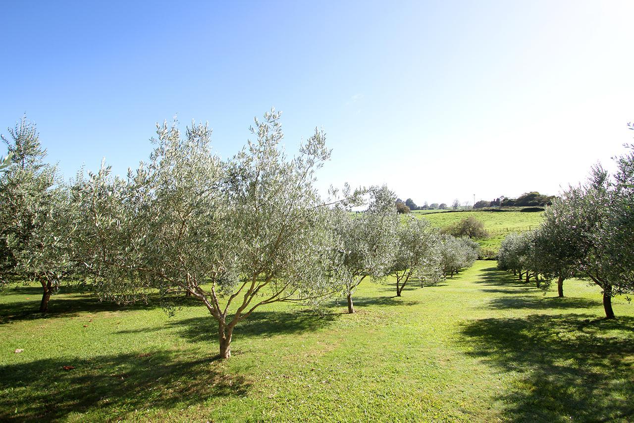 Ohaupo Olives Panzió Kültér fotó
